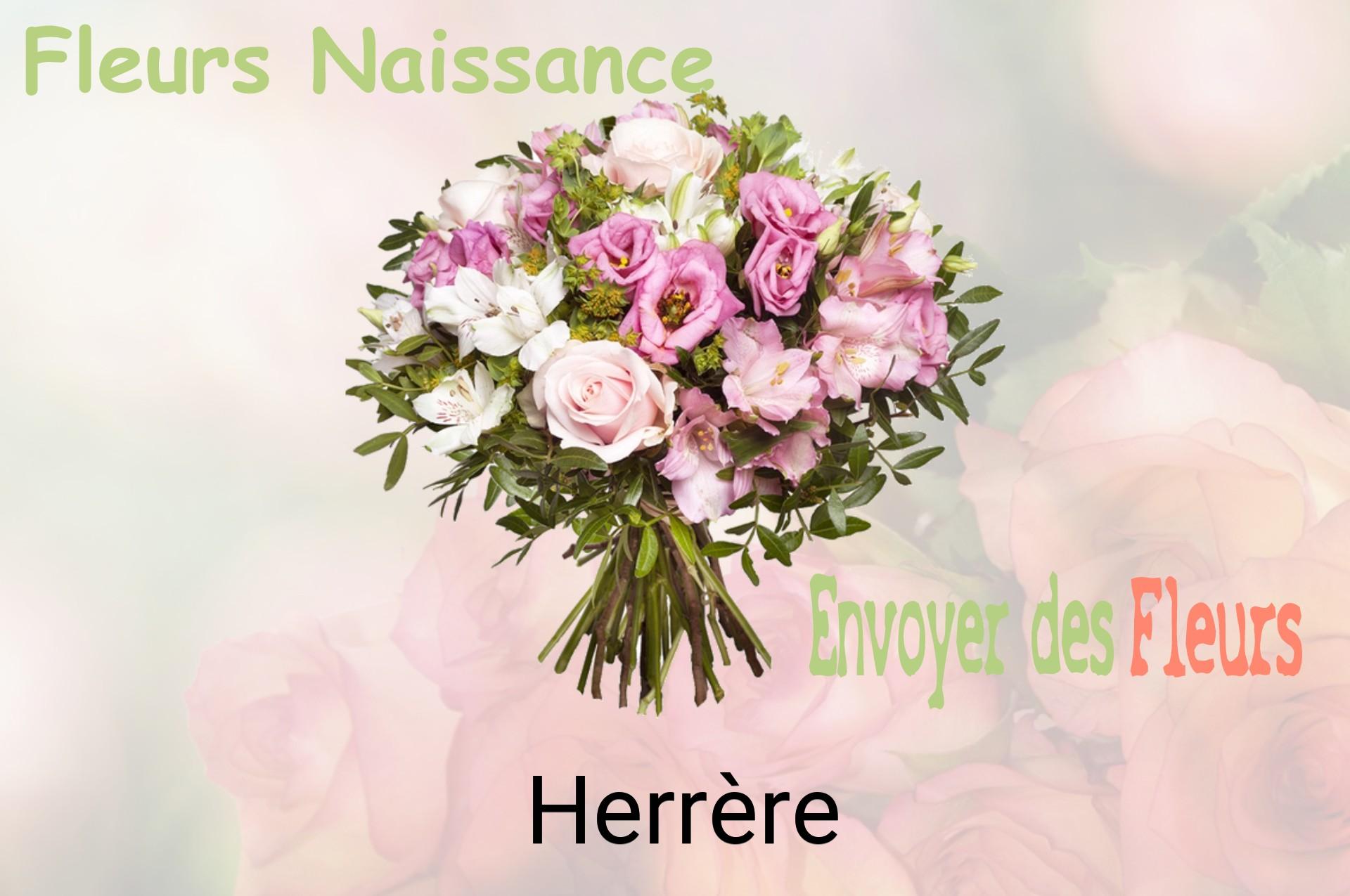 Bouquet de fleurs de naissance livré à Herrère